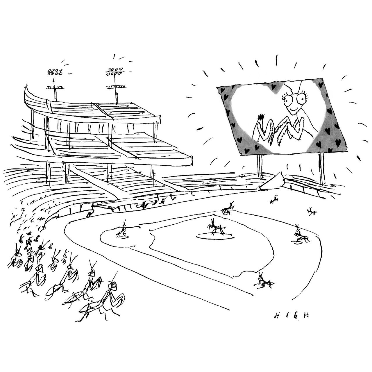 A jumbotron at a baseball game shows a pair of praying mantises the female has bitten off the males head.